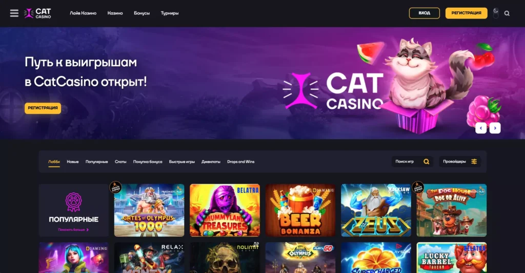 Cat Casino официальный сайт
